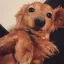 yuのプロフィール画像