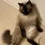 理恵のプロフィール画像