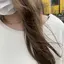 Lamのプロフィール画像
