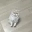 汐里のプロフィール画像