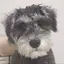 Y.Kのプロフィール画像