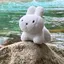 *かな*のプロフィール画像