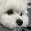 愛那のプロフィール画像