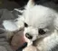 kuuのプロフィール画像