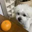 nunoのプロフィール画像