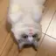 aのプロフィール画像
