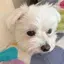 ちーのプロフィール画像