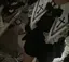 れ♡のプロフィール画像