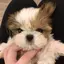 みぃのプロフィール画像