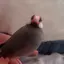 ななのプロフィール画像