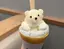 アボカドのプロフィール画像