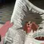 たのプロフィール画像
