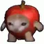 かずさのプロフィール画像