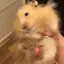 あかねのプロフィール画像