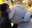 かなのプロフィール画像