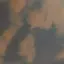 のんたのプロフィール画像