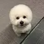 レオナのプロフィール画像