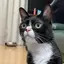 ひまのプロフィール画像