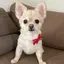 まじんぶぅのプロフィール画像