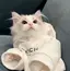 みのプロフィール画像
