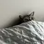 nekoのプロフィール画像