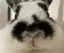 はむのプロフィール画像