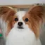 junのプロフィール画像