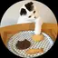 ヒビノのプロフィール画像