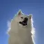 つきのプロフィール画像