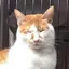 ものプロフィール画像