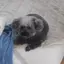 愛理のプロフィール画像