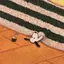 めいのプロフィール画像