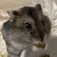 ありなのプロフィール画像