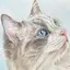 Tomoのプロフィール画像