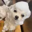 あきのプロフィール画像