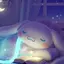 はち。のプロフィール画像