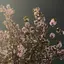 tjmのプロフィール画像