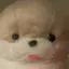 いつきのプロフィール画像
