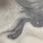 uuのプロフィール画像