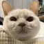 ゆひのプロフィール画像