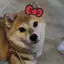 こむぎママのプロフィール画像