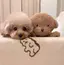 うめしゅのプロフィール画像