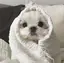 ttのプロフィール画像