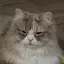 みちかのプロフィール画像