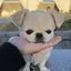 tinaのプロフィール画像