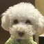 ♡のプロフィール画像