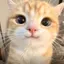 Hinaのプロフィール画像