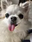 ニアのプロフィール画像