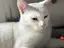ぶんじぇのプロフィール画像
