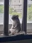 ゆいのプロフィール画像
